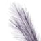 39.5" Purple Pampas Grass Stem by Ashland®